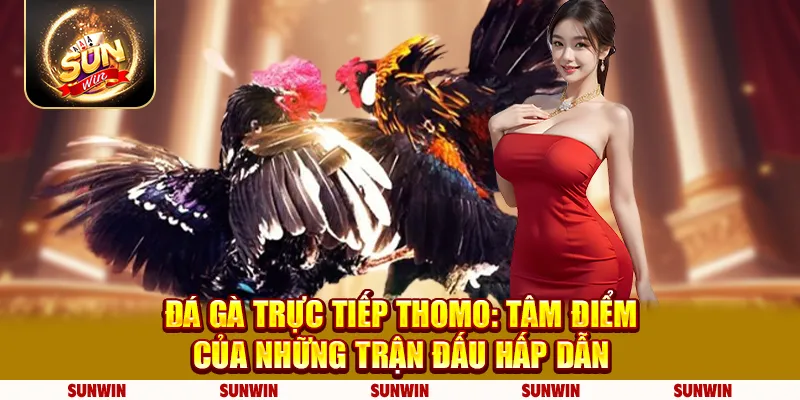 Kinh nghiệm cá cược đá gà thomo: Nắm bắt cơ hội thắng lớn