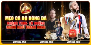 Mẹo cá độ bóng đá không thua - Từ những người chơi thành công