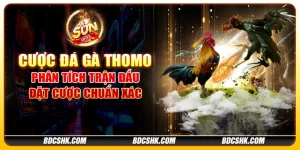 Cược đá gà Thomo: Phân tích trận đấu đặt cược chuẩn xác